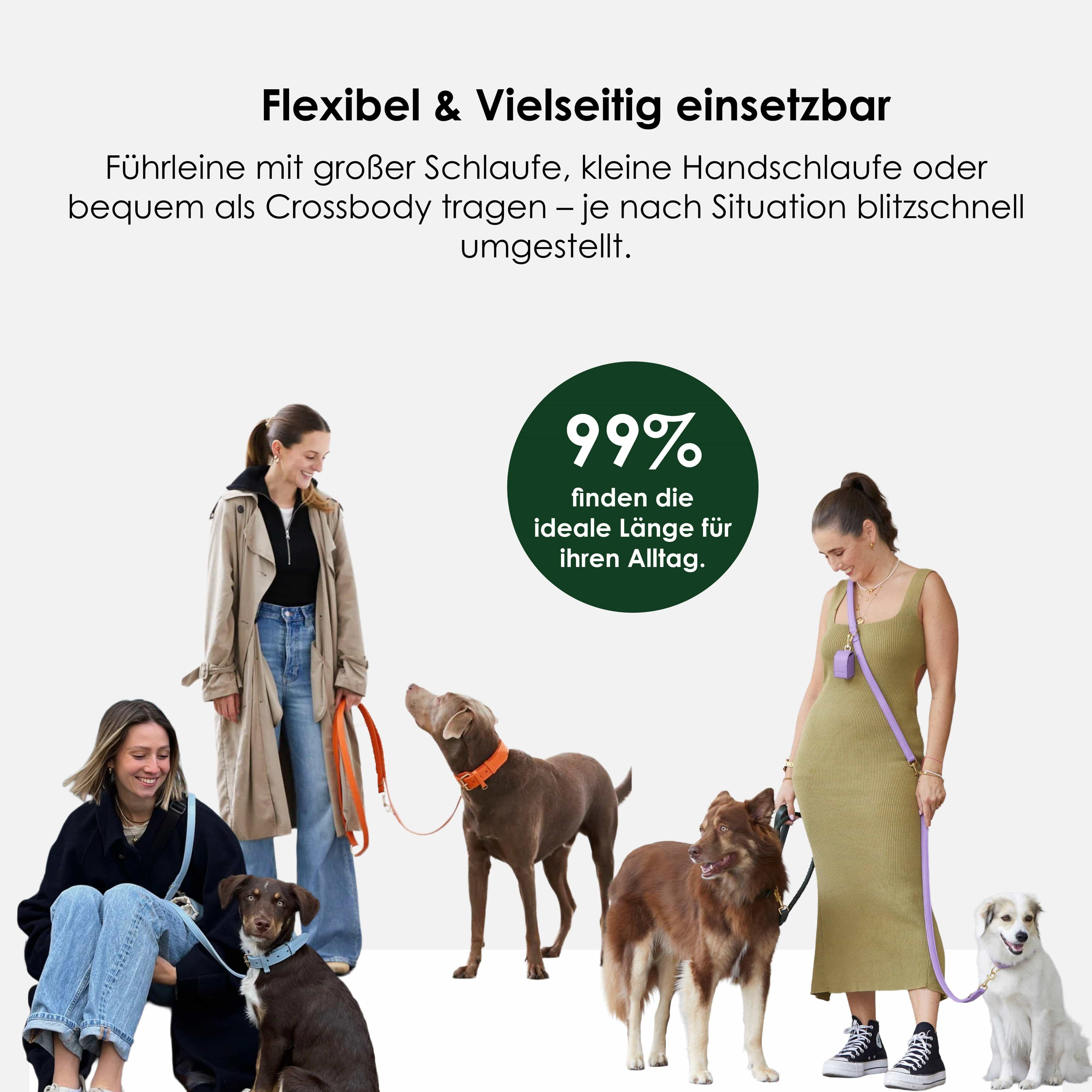 Productafbeelding 5