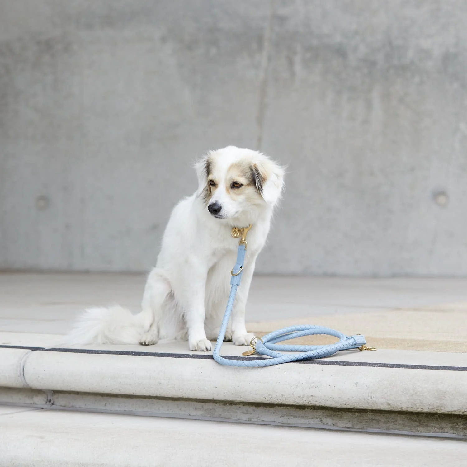 Productafbeelding 13