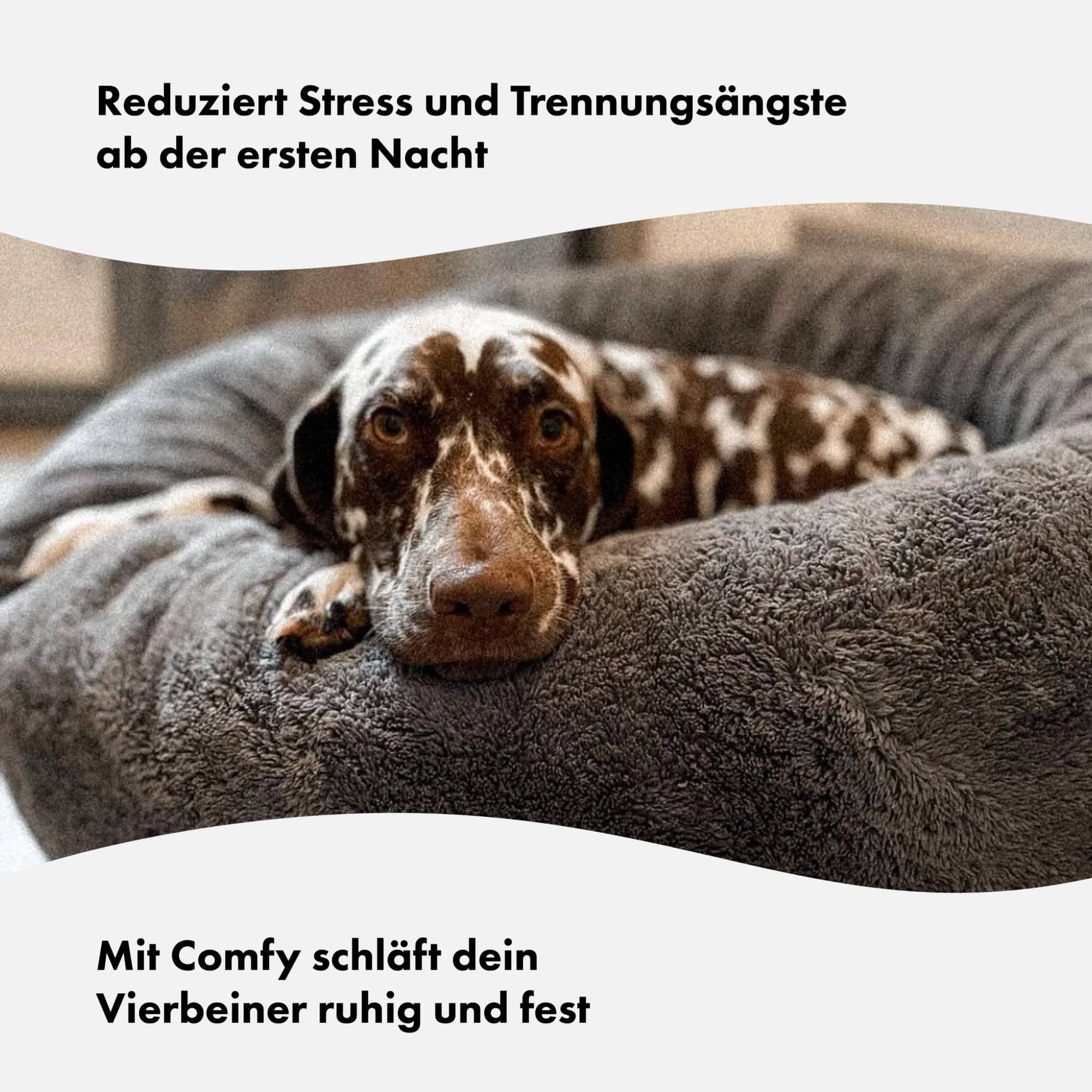 Productafbeelding 4