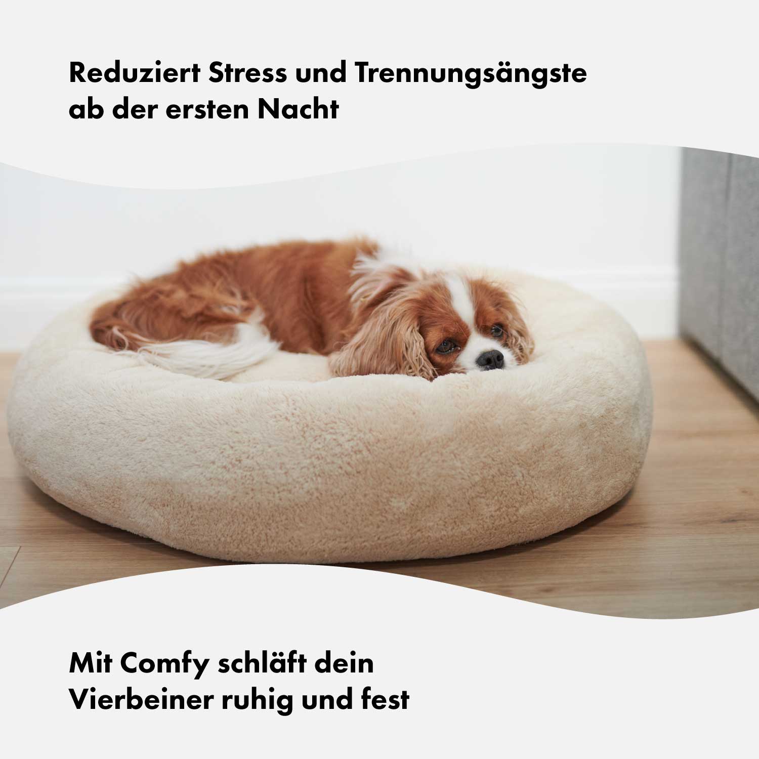 Productafbeelding 4