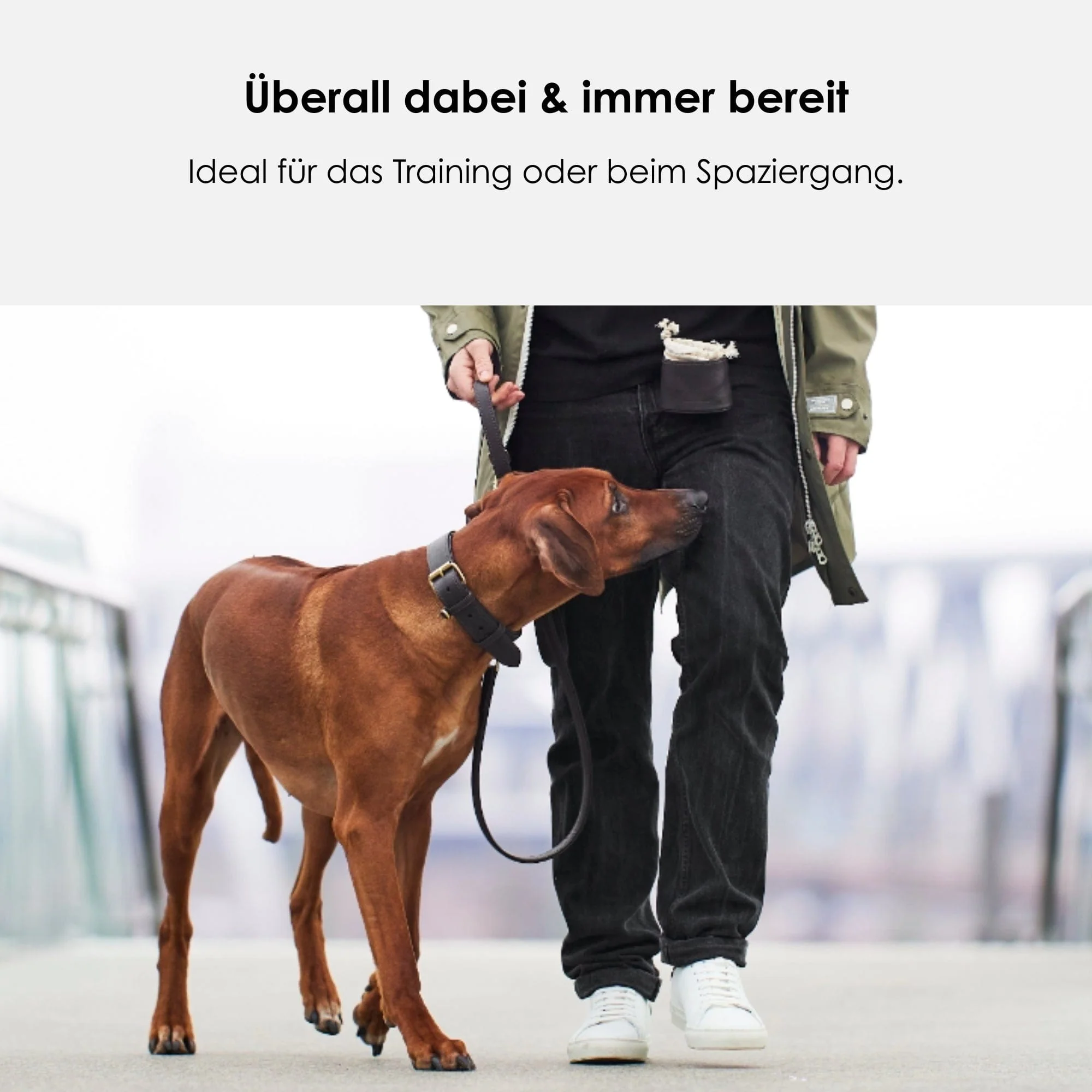 Productafbeelding 4