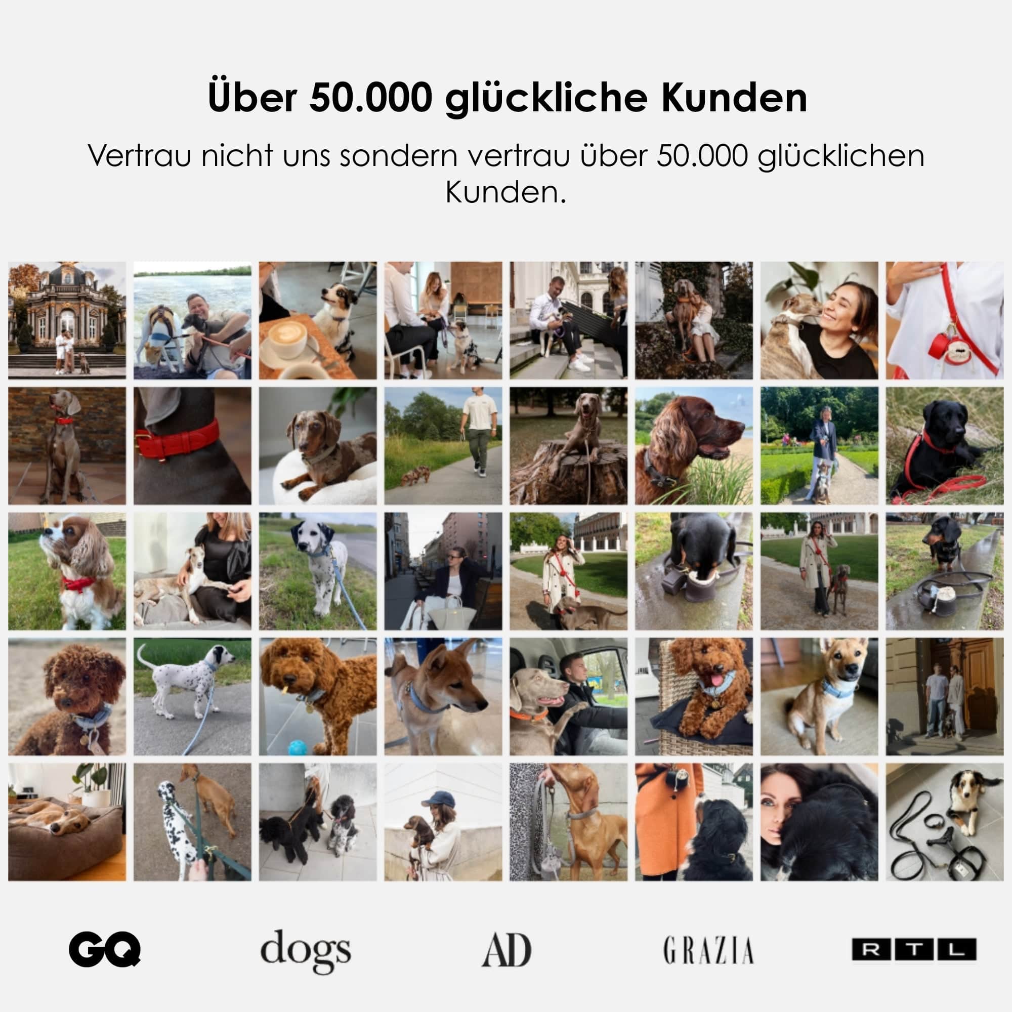 Productafbeelding 8