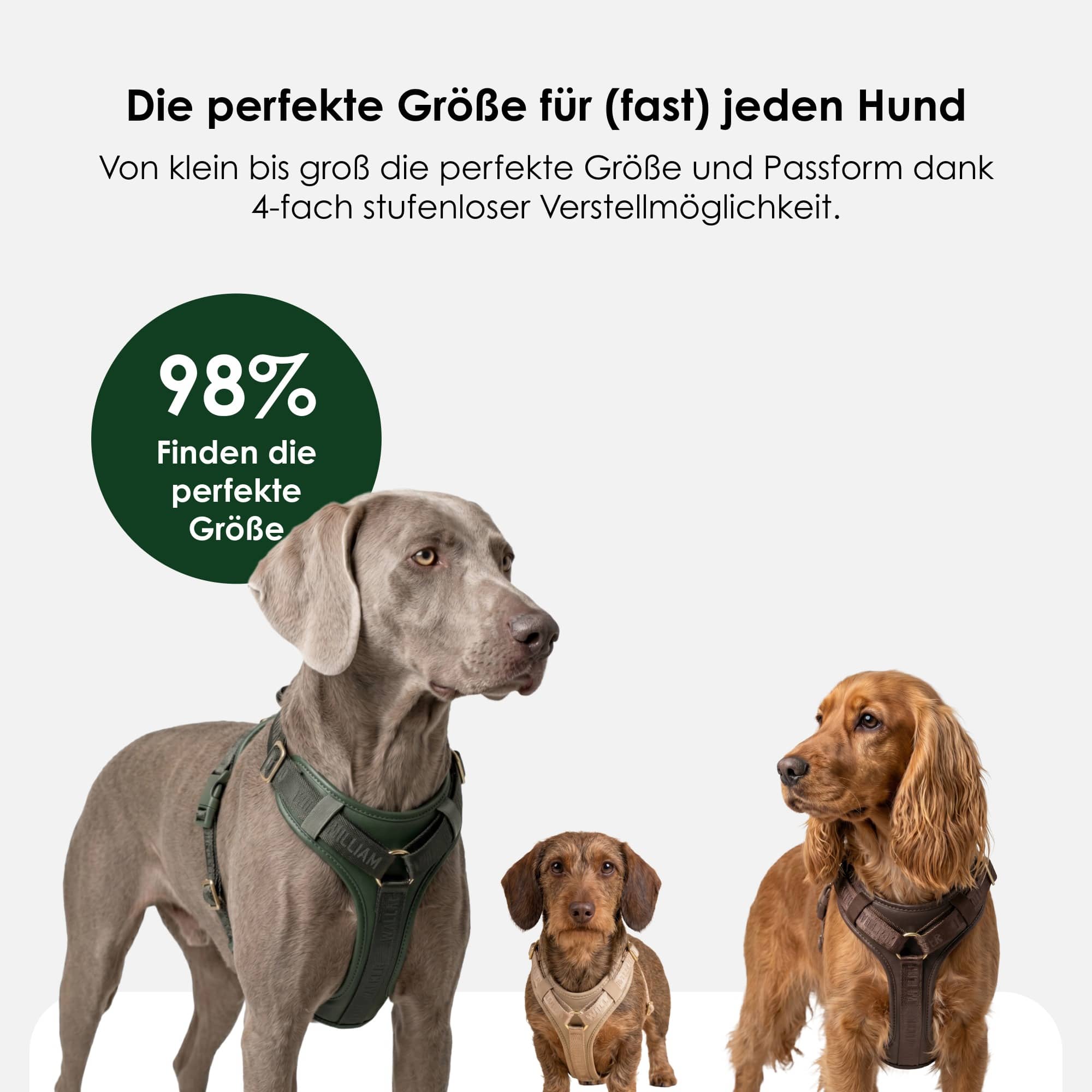 Productafbeelding 16