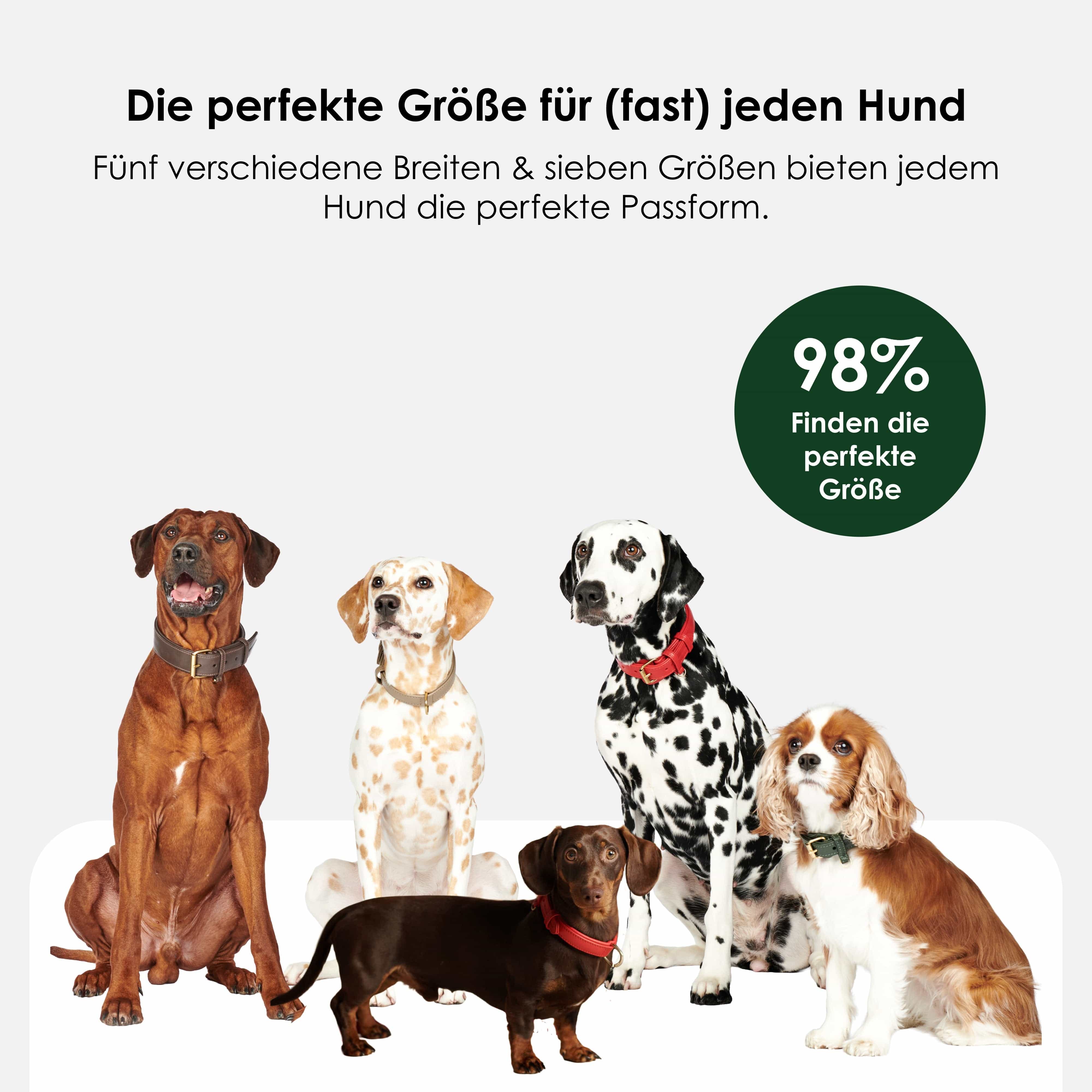 Productafbeelding 5