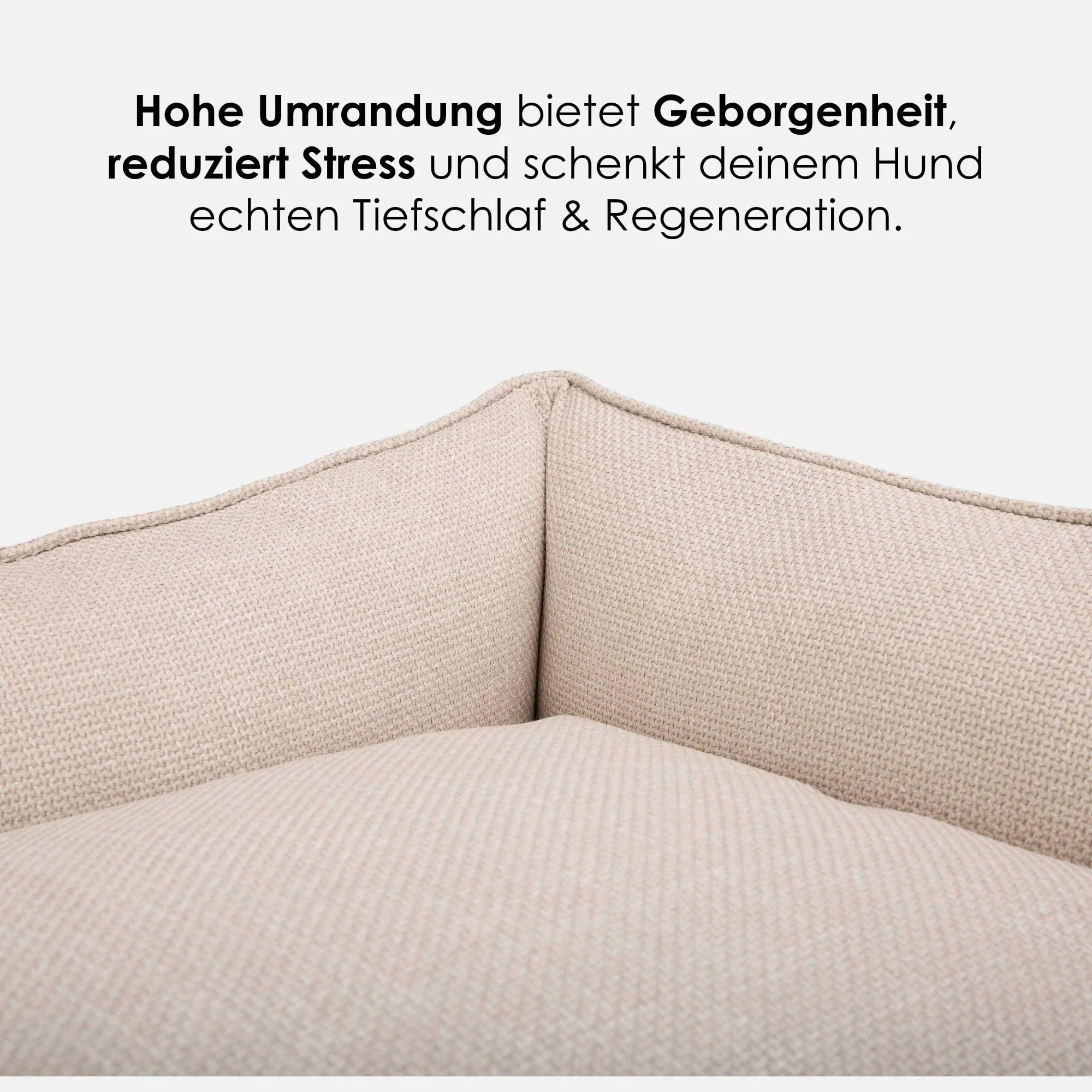 Productafbeelding 19