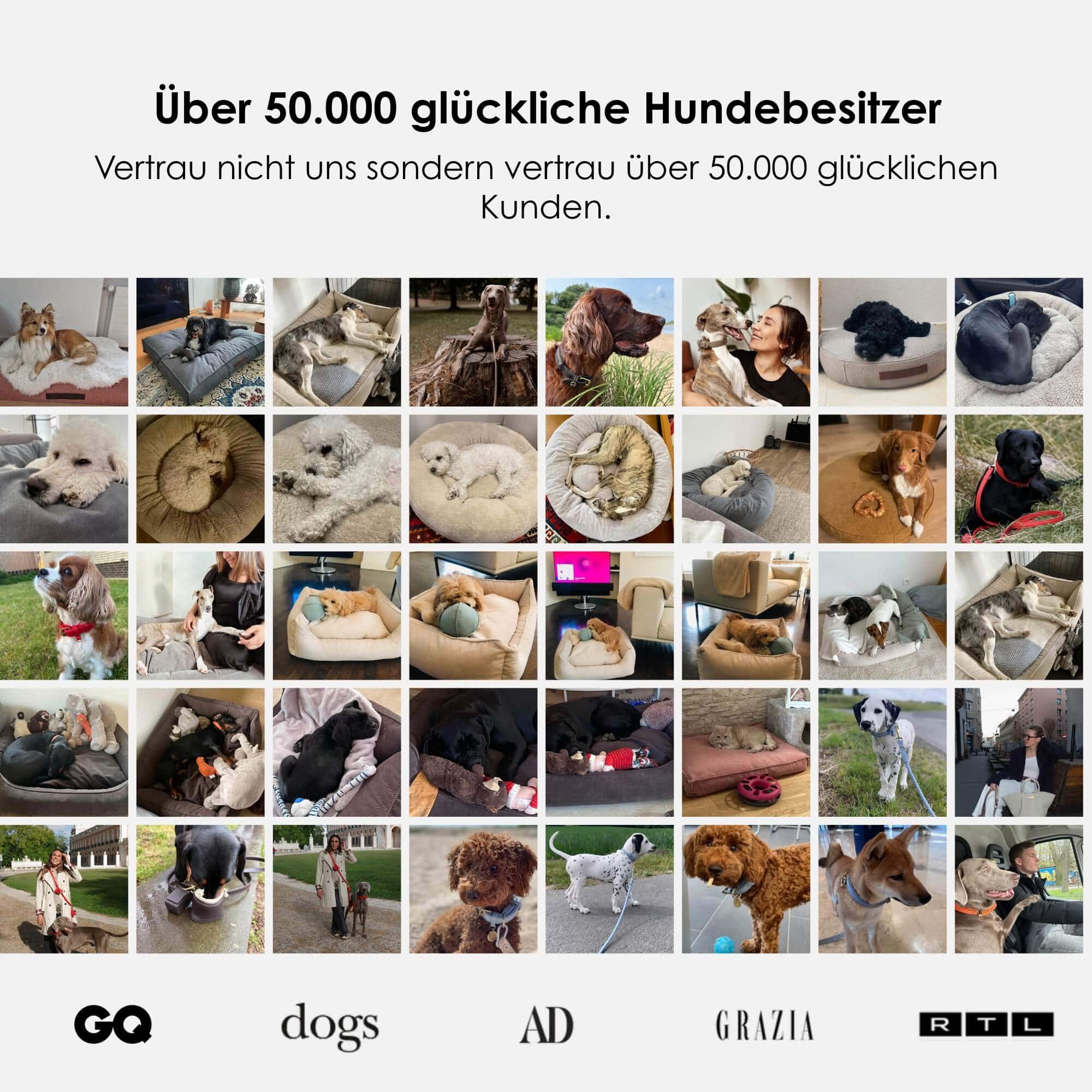 Productafbeelding 56