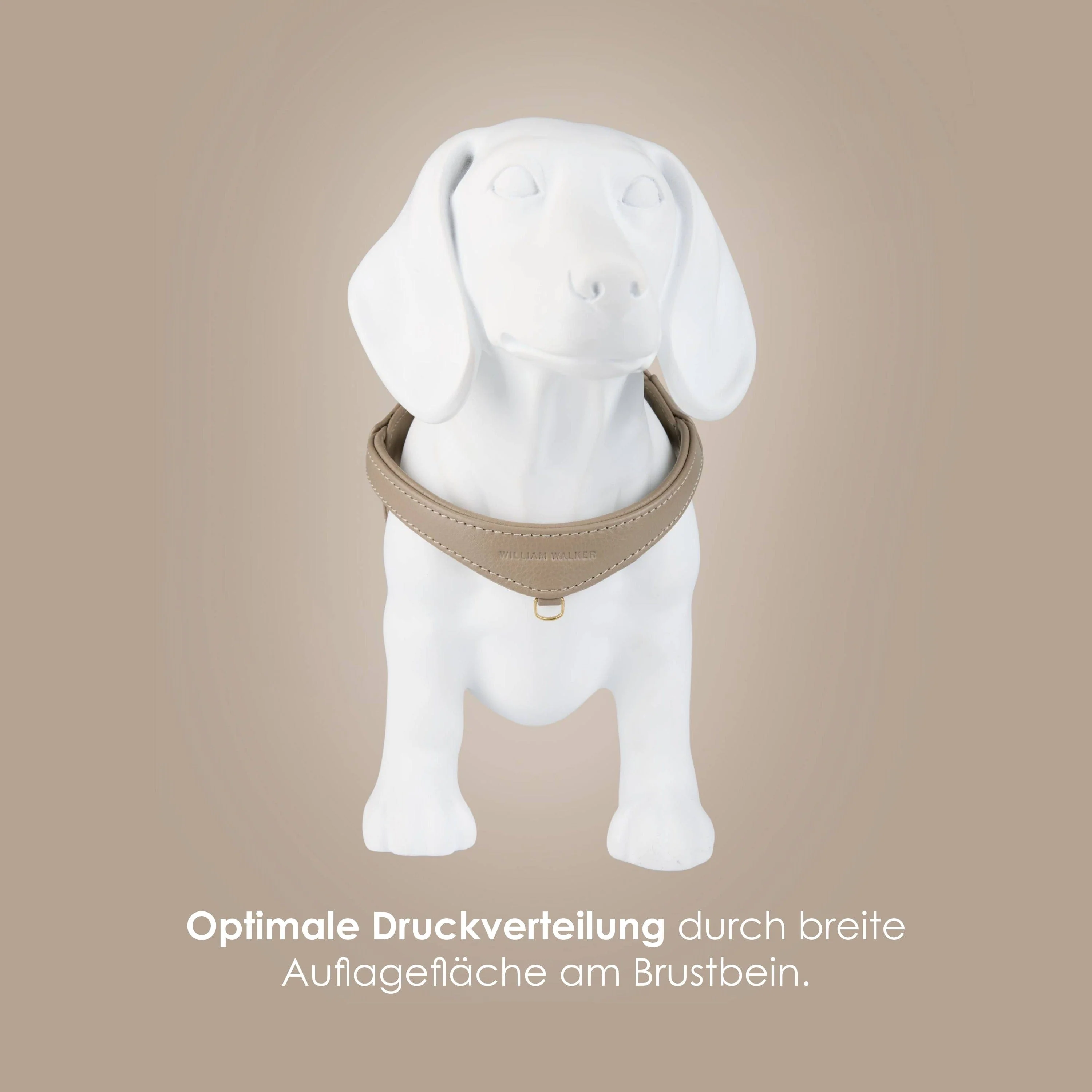 Productafbeelding 7